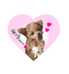 Ten＆Fuku（個別スタンプ：4）