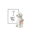 Ten＆Fuku（個別スタンプ：6）