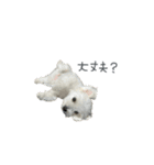 Ten＆Fuku（個別スタンプ：7）