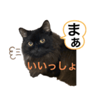 黒猫 ルナ院長63にゃんめ（個別スタンプ：3）