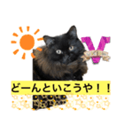 黒猫 ルナ院長63にゃんめ（個別スタンプ：4）