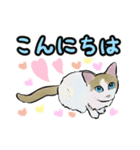 かわいくてごめん♡なねこにゃんず②（個別スタンプ：3）