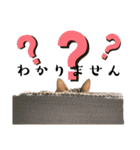 ねこねこ さばみそ 3（個別スタンプ：16）