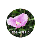 四季の花2（個別スタンプ：40）