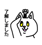 しーしゃねこ5（個別スタンプ：13）