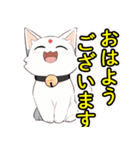 あほかわいい猫（ラグドール）（個別スタンプ：1）