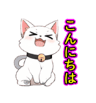 あほかわいい猫（ラグドール）（個別スタンプ：2）