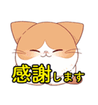 あほかわいい猫（ラグドール）（個別スタンプ：5）