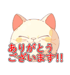 あほかわいい猫（ラグドール）（個別スタンプ：6）