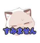 あほかわいい猫（ラグドール）（個別スタンプ：10）