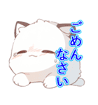 あほかわいい猫（ラグドール）（個別スタンプ：11）