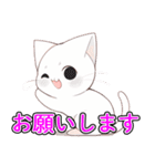 あほかわいい猫（ラグドール）（個別スタンプ：13）