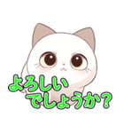 あほかわいい猫（ラグドール）（個別スタンプ：15）