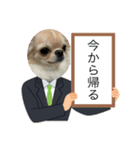 チワワの喜怒哀楽（個別スタンプ：4）