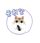 ジャンガリニャン（個別スタンプ：7）