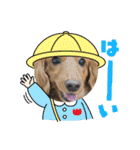 こちゃんさんのすたんぷ！（個別スタンプ：3）