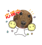 こちゃんさんのすたんぷ！（個別スタンプ：4）