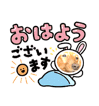 こちゃんさんのすたんぷ！（個別スタンプ：5）