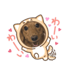 こちゃんさんのすたんぷ！（個別スタンプ：9）