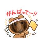 こちゃんさんのすたんぷ！（個別スタンプ：22）