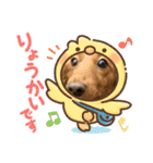こちゃんさんのすたんぷ！（個別スタンプ：23）
