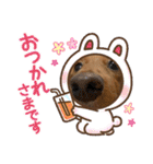 こちゃんさんのすたんぷ！（個別スタンプ：24）