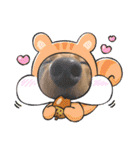 こちゃんさんのすたんぷ！（個別スタンプ：31）