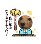 こちゃんさんのすたんぷ！（個別スタンプ：33）