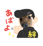 こちゃんさんのすたんぷ！（個別スタンプ：34）