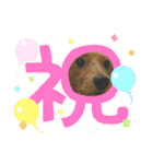 こちゃんさんのすたんぷ！（個別スタンプ：36）