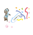 ふわふわ まるる（個別スタンプ：2）