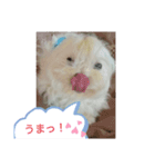 ふわふわ まるる（個別スタンプ：3）