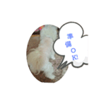 ふわふわ まるる（個別スタンプ：5）