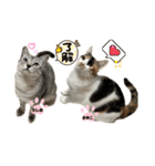 まゆたんうーたん（個別スタンプ：3）
