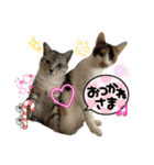まゆたんうーたん（個別スタンプ：7）