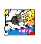 まゆたんうーたん（個別スタンプ：8）