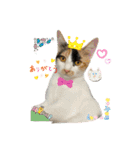 まゆたんうーたん（個別スタンプ：9）