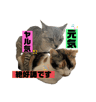 まゆたんうーたん（個別スタンプ：14）