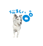 げんたとはむ（個別スタンプ：5）