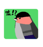 悠芽の鳥日記6（個別スタンプ：1）