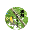 悠芽の鳥日記6（個別スタンプ：7）