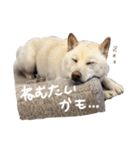 もなんご★☆2（個別スタンプ：2）
