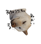 もなんご★☆2（個別スタンプ：3）