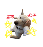 もなんご★☆2（個別スタンプ：8）