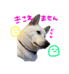 もなんご★☆2（個別スタンプ：11）