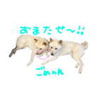 もなんご★☆2（個別スタンプ：30）