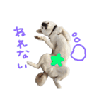 もなんご★☆2（個別スタンプ：31）
