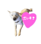もなんご★☆2（個別スタンプ：33）