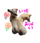 もなんご★☆2（個別スタンプ：35）