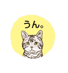 にゃんこ正面から同意しますスタンプ（個別スタンプ：3）